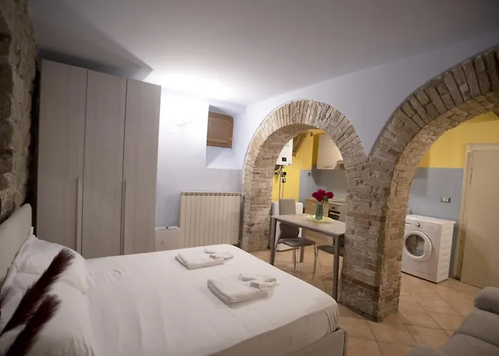 Cozy - Special Nest In