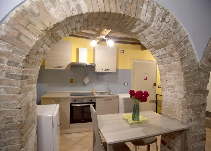 Cozy - Special Nest In